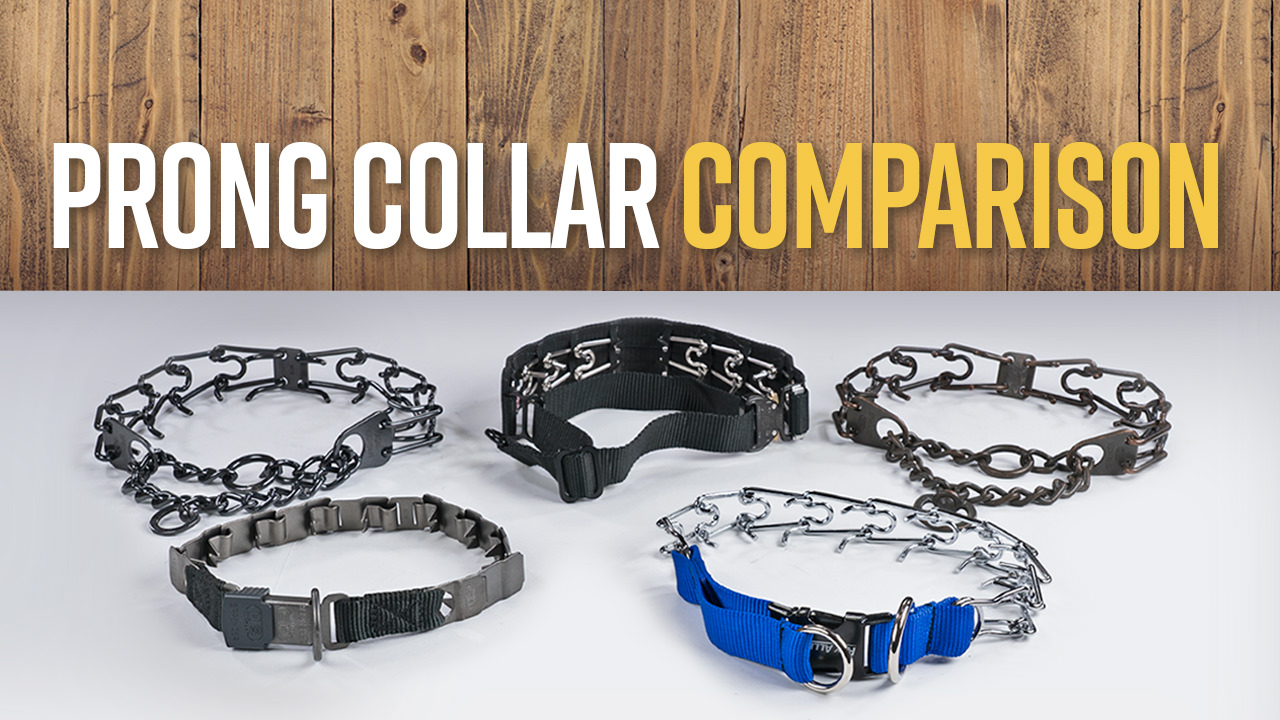 Several types of prong dog training collars on a wooden background